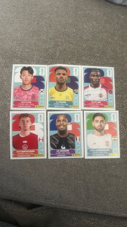 FIFA Panini Stickers