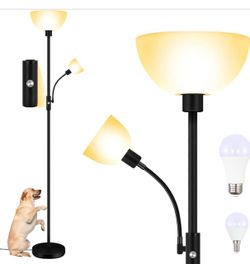 Floor Lamps