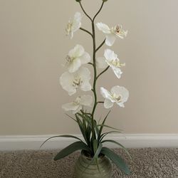 Fake Orchid Plant