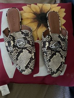 Coach shoes