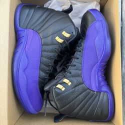Jordan 12 Court Purple Size 12
