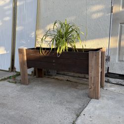 Planter Box 