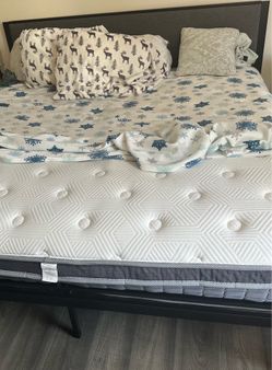 Meta king bed frame and mattress