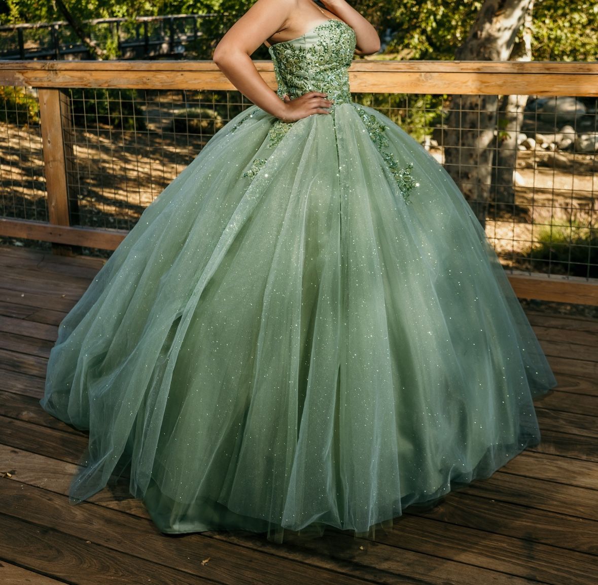 Quinceanera / Sweet 16 / Prom Dress