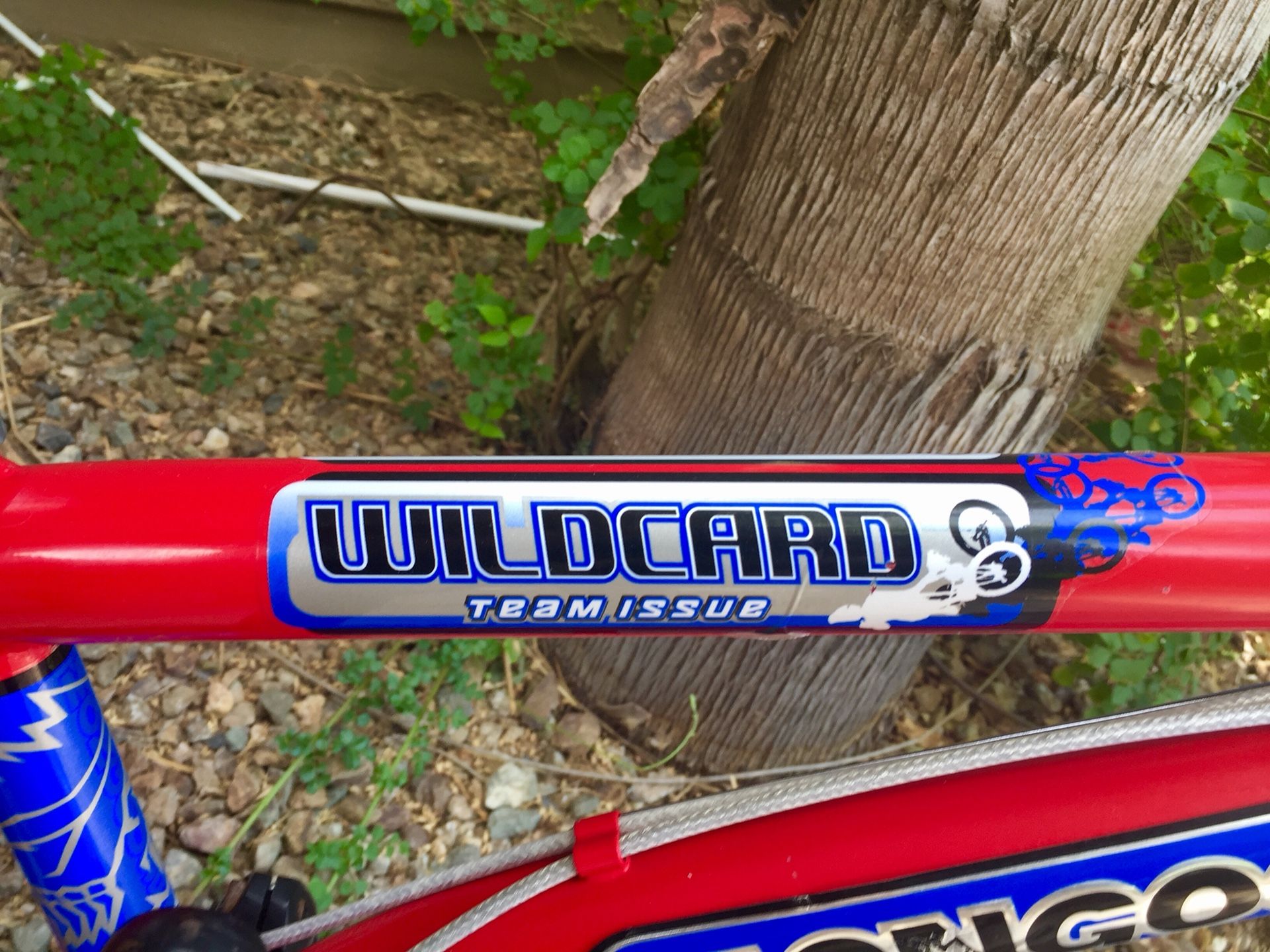 Mongoose wildcard 20 2025