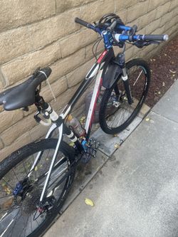 Felt Mtb 29