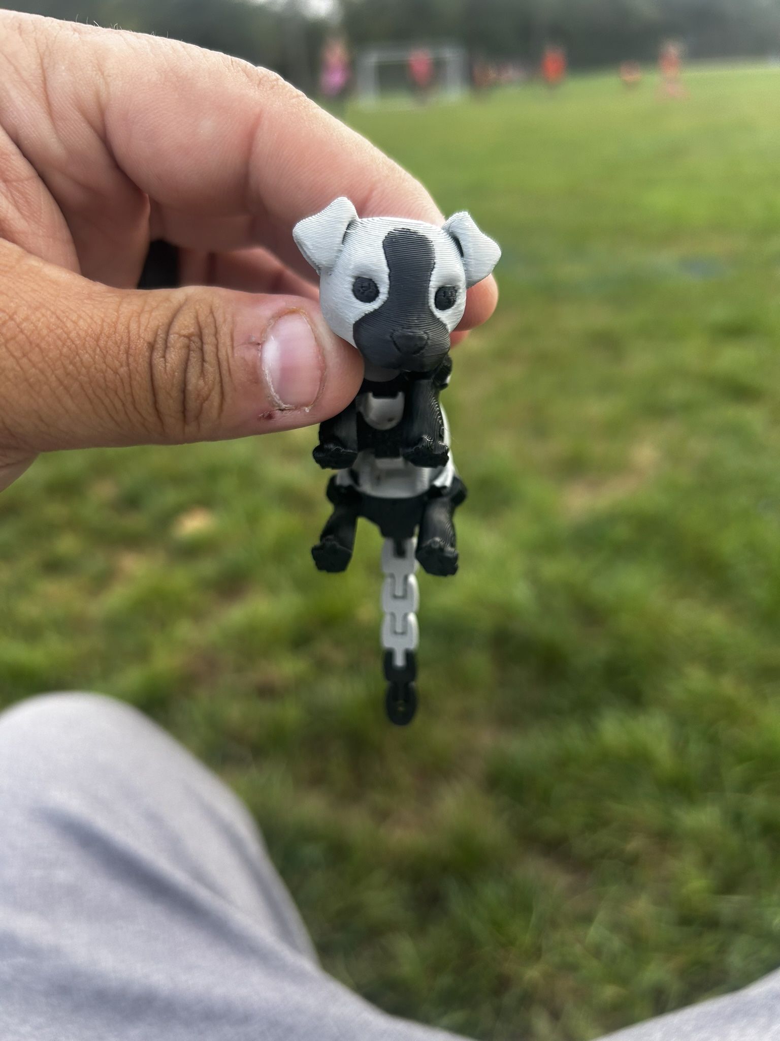 3D Printed Dog