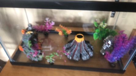 Fish tank