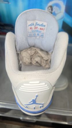 Air Jordan 3s