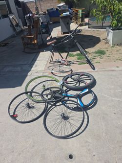 Bike Rims & Frame