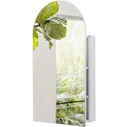 Sower and seed arched medicine cabinet