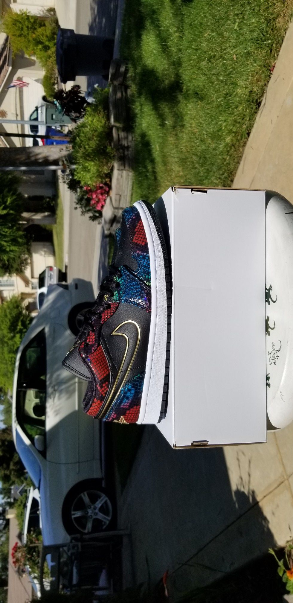 Brand new Authentic Jordan 1 low "snakeskin"