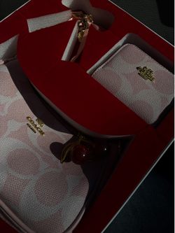Coach bag for sale
