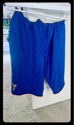 Rare Nike/Kobe/Mamba Dry Fit Bball shorts