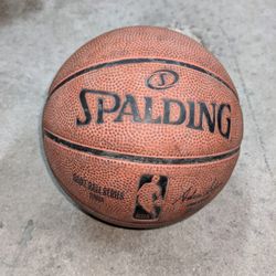 Mini NBA Spalding Ball