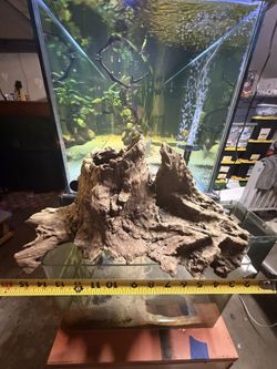Aquarium Fish Tank Pond Driftwood