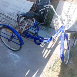 Three Wheel Bike