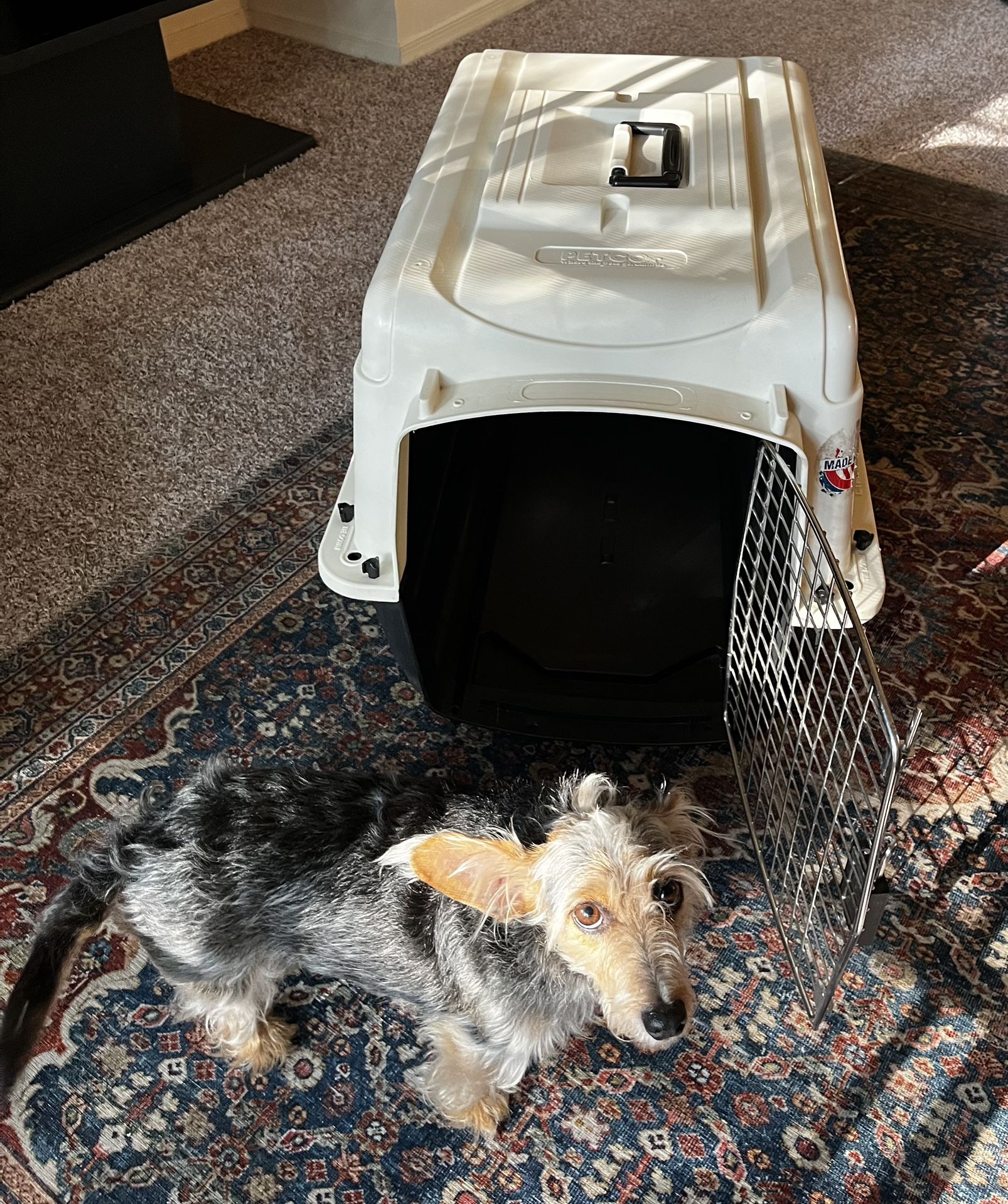 Large Petco Dog Crate