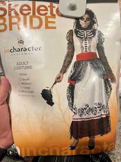Women’s Plus Size Day Of The Day Costume