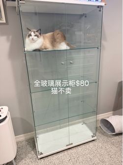 Glass Display Cabinet