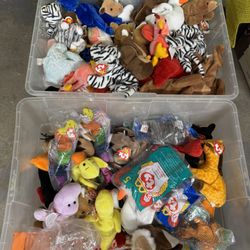 Large TY Beanie Baby Lot