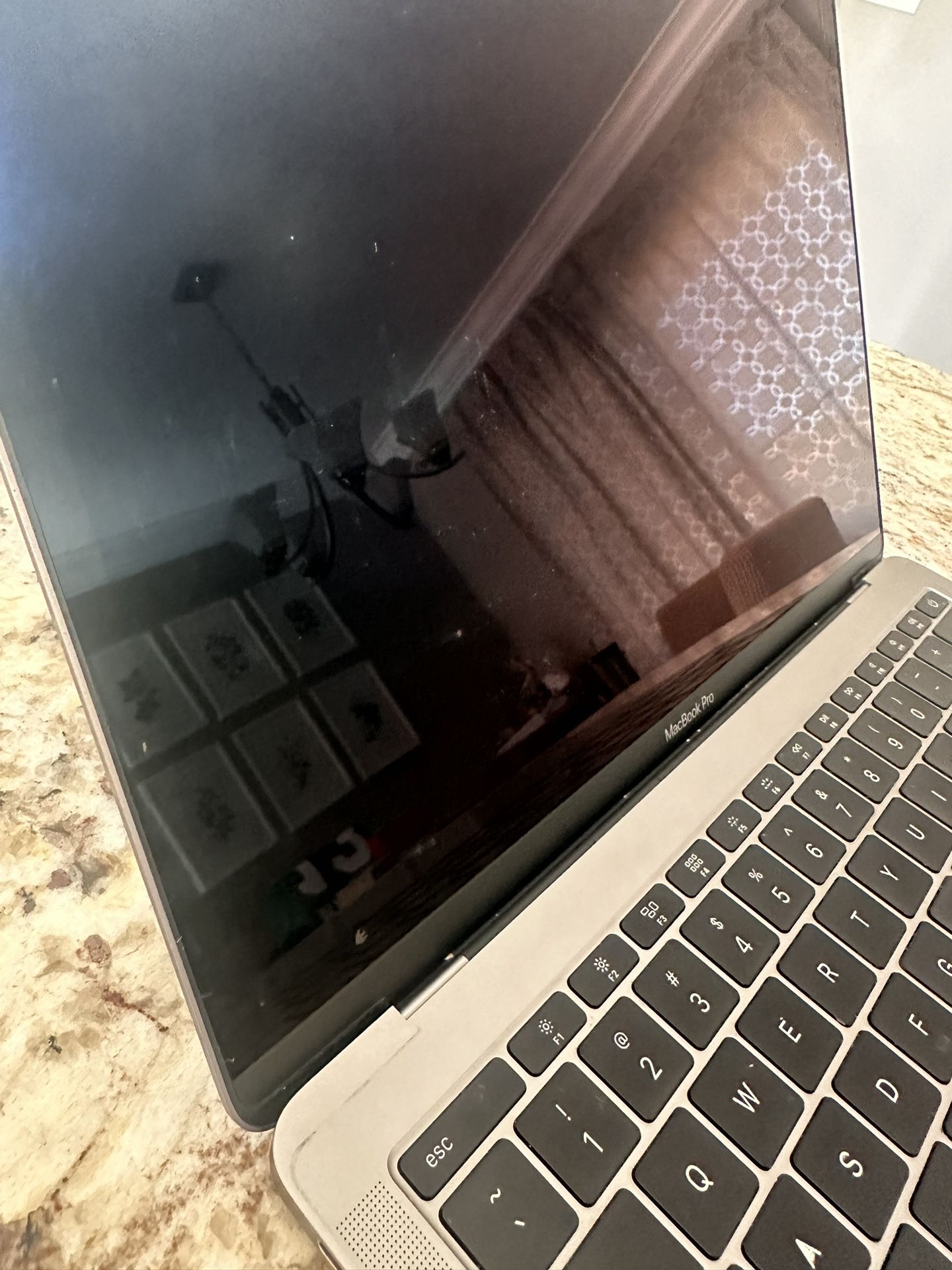 MacBook Pro (13in)