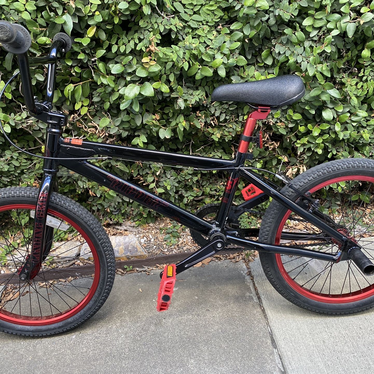 SE Bike Ripper 20