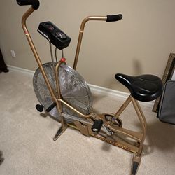 Schwinn Airdyne Gold 