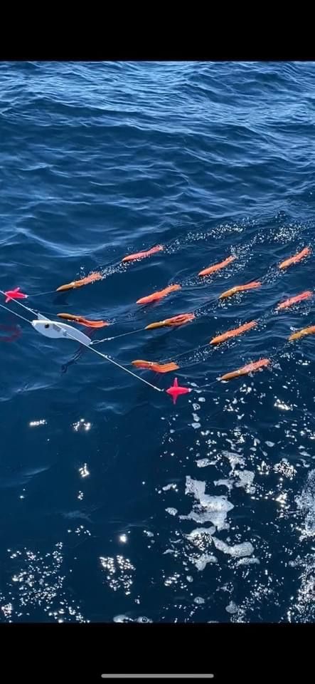 Titanium Spreader Bar That Floats For Tuna Fishing