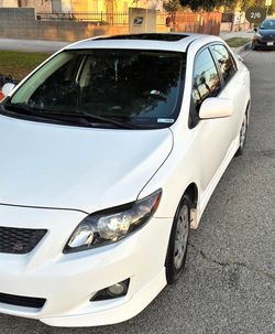 White Sport Corolla 2010