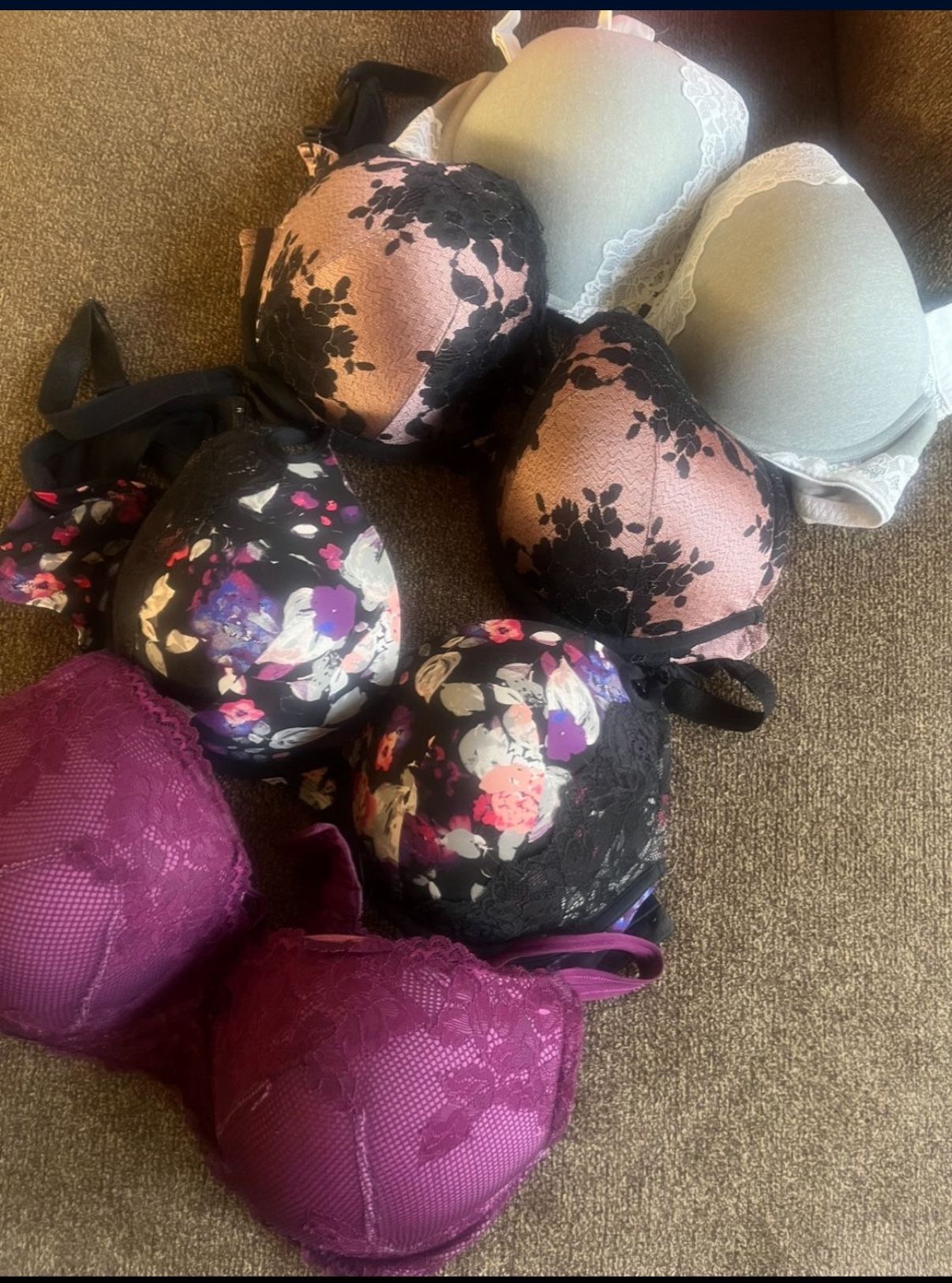Torrid Bras