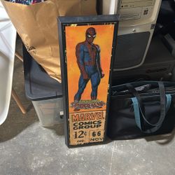Spider-Man Picture/Poster