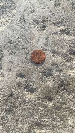 Rare Coin