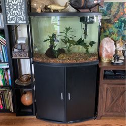 35 Gallon Aquarium Fish Tank With Stand