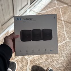 Blink Security Camera System 