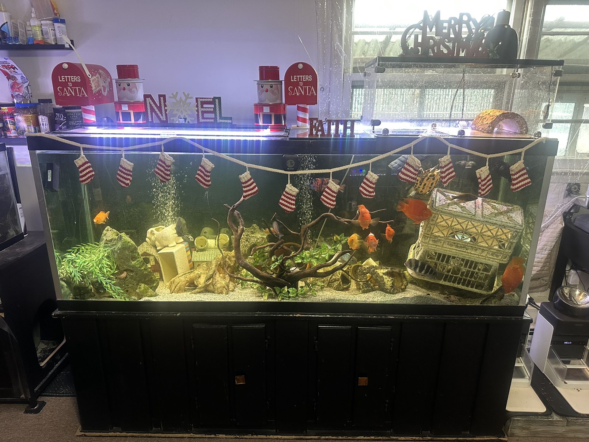 150 Gallon Large Monster Aquarium Fish Turtle Tank Terrarium