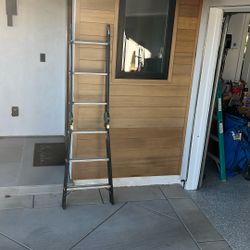 Folding Ladder