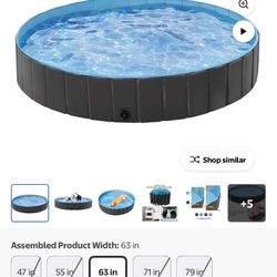 Pool Dog 🐕 N Kids 👧 