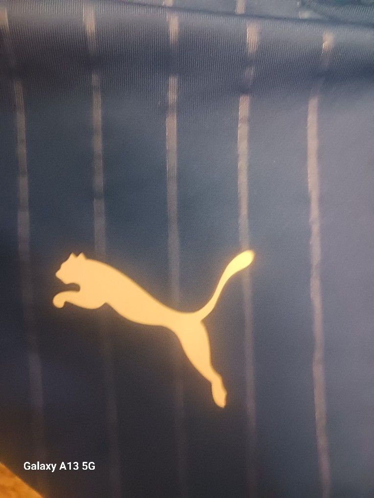 Puma Shirt