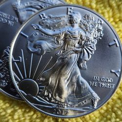 2017 1oz Silver Coins Pack Of 10