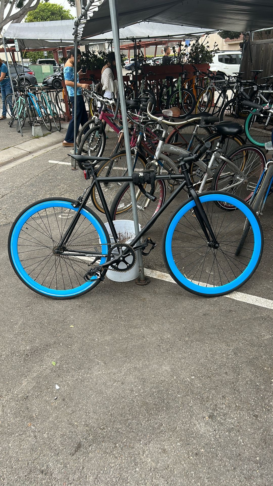 Used Well Taken Care Of Fixie Bike