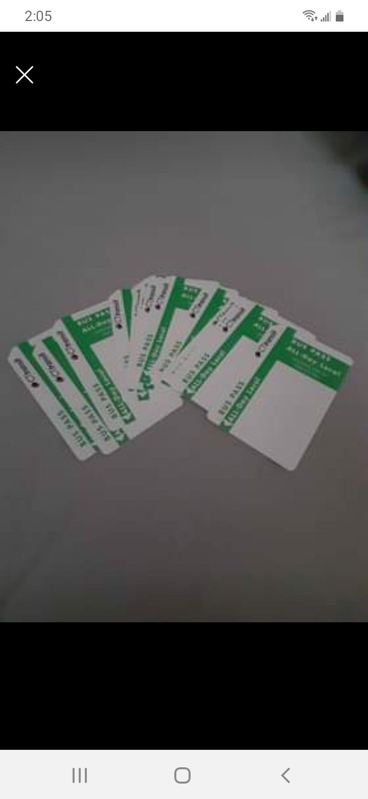 13 ALL DAY Bus Passes