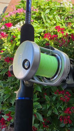 Fathom 15..2 speed/Braid/New Rod