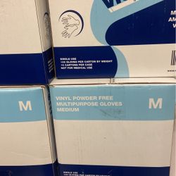 Vinyl Gloves 
