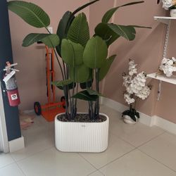 Inside Trees Home Decor