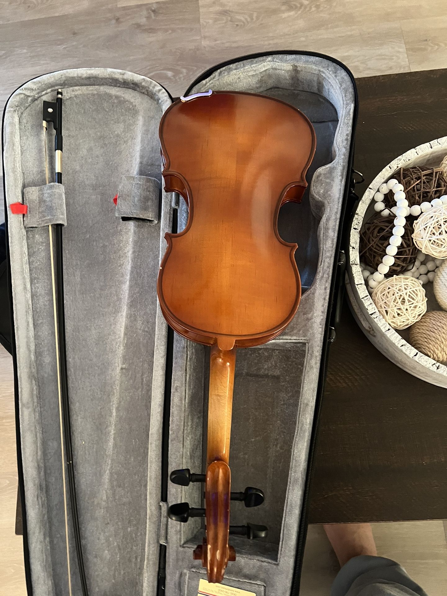 Violin