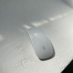 Apple Mouse, New!