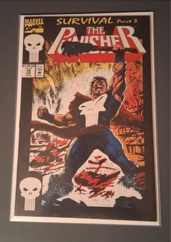 The Punisher Survival Part 3 #79. NM/NM+