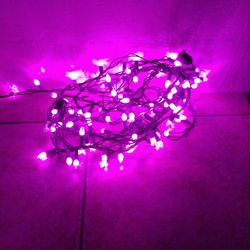 Lights Purple/Pink