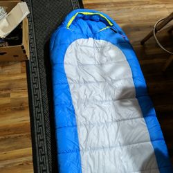 2 - Coleman 20° Sleeping Bags